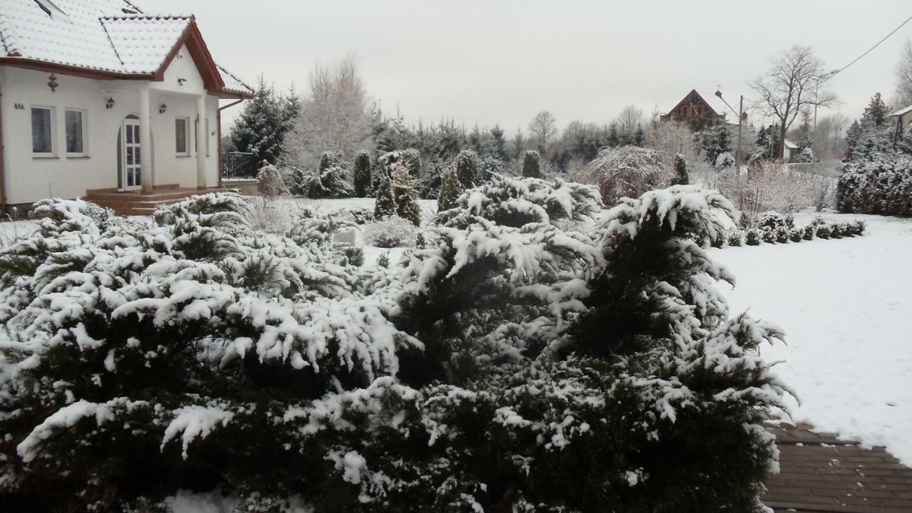 Agroturystyka 'Milena' Ostropole Exterior foto